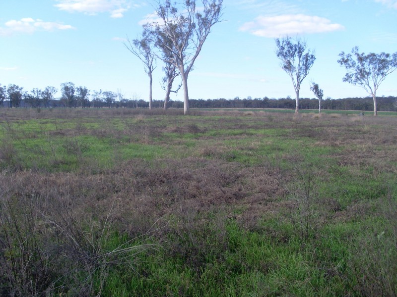 Bony Mountain QLD 4370