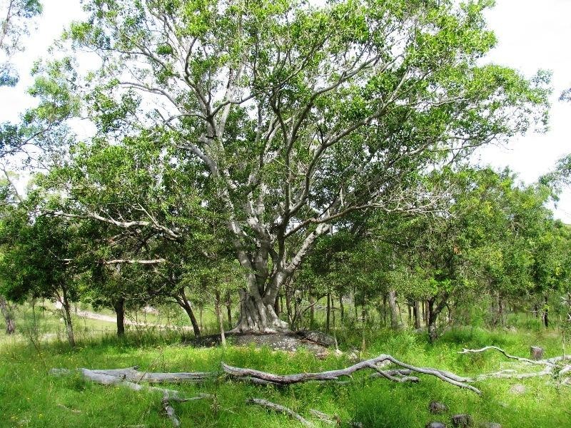 Warwick QLD 4370