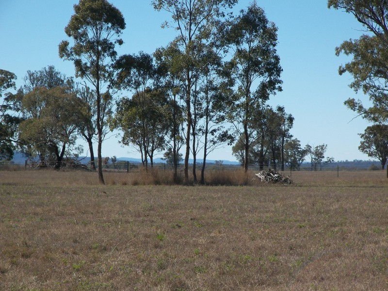 Greymare QLD 4370