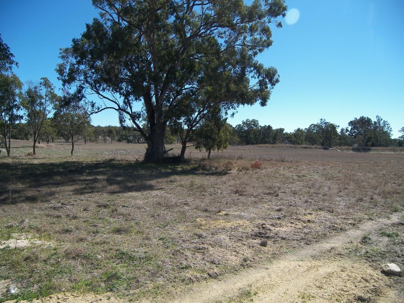 Greymare QLD 4370