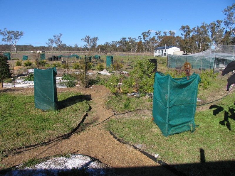 Bony Mountain QLD 4370