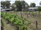 Karara QLD 4352