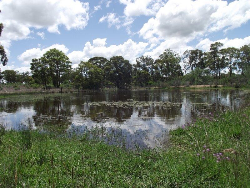 Karara QLD 4352