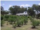 Karara QLD 4352