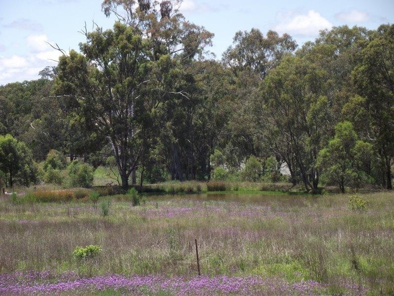 Karara QLD 4352