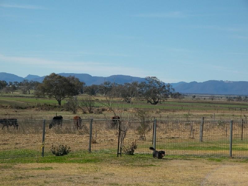 Warwick QLD 4370