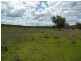 Oman Ama QLD 4352