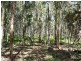 Leyburn QLD 4365