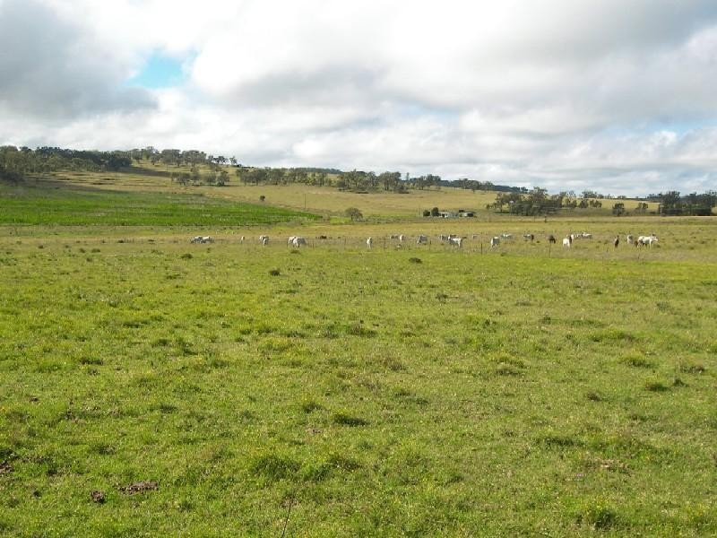 Warwick QLD 4370