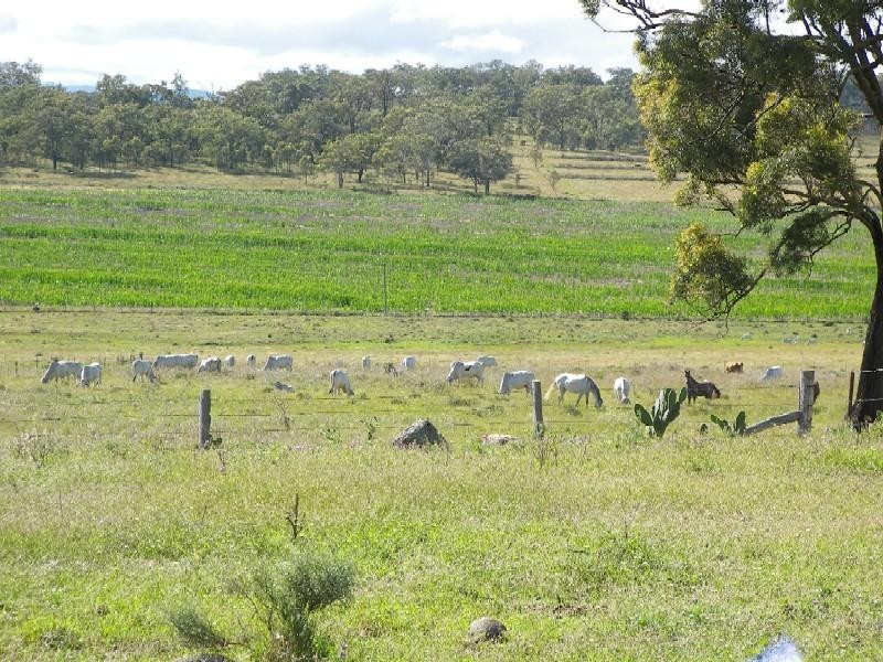 Warwick QLD 4370