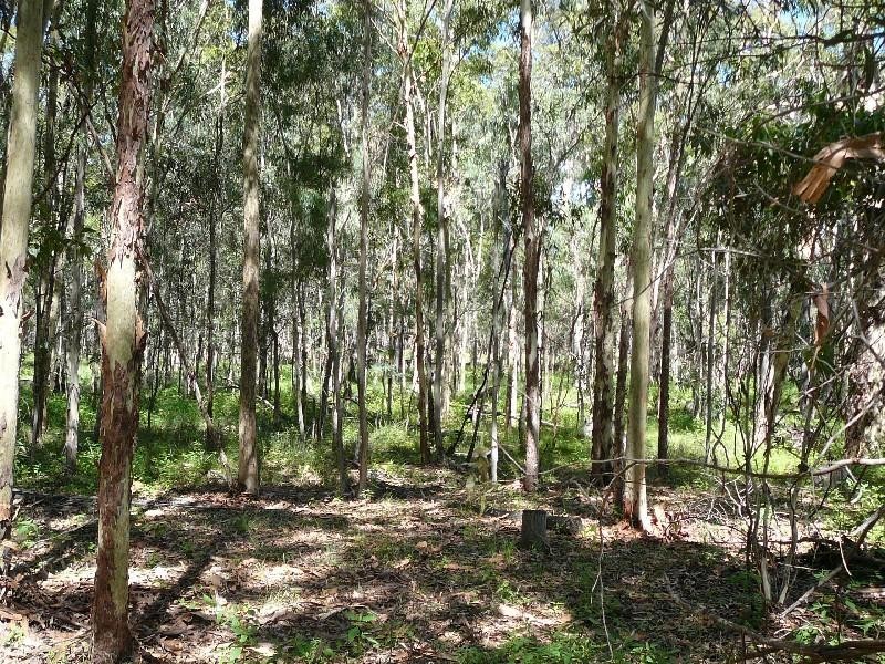 Leyburn QLD 4365