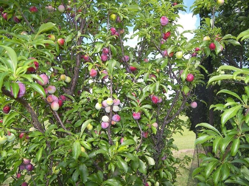 17 Smith Road, Warwick QLD 4370