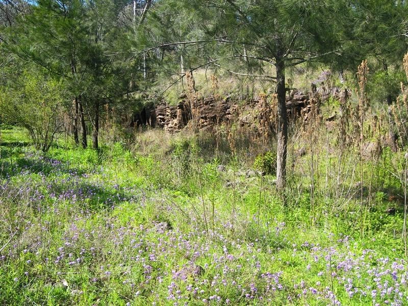 Swanfels QLD 4371