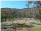 Swanfels QLD 4371