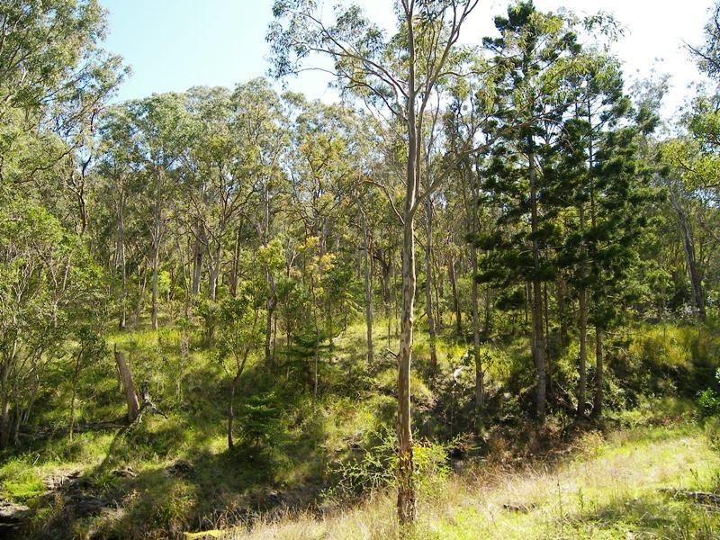 Swanfels QLD 4371