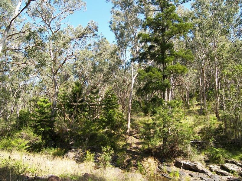 Swanfels QLD 4371