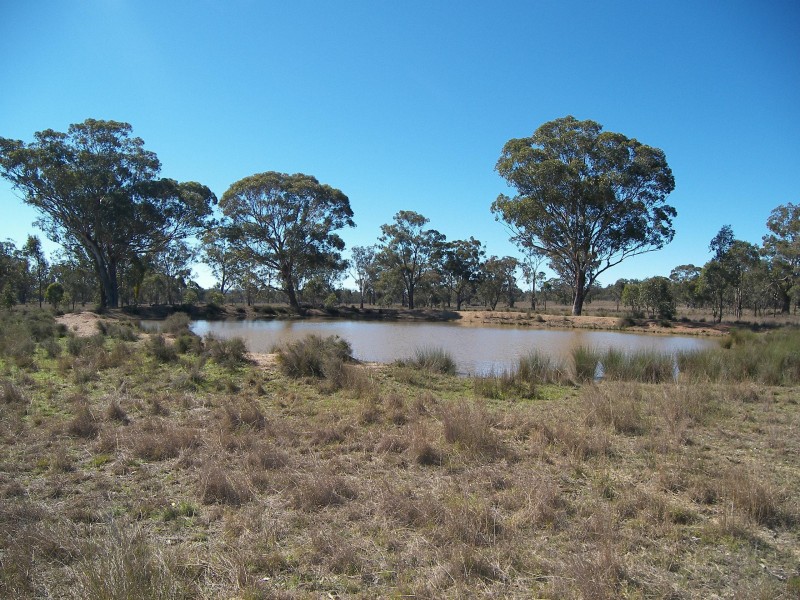 Greymare QLD 4370