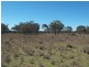 Greymare QLD 4370