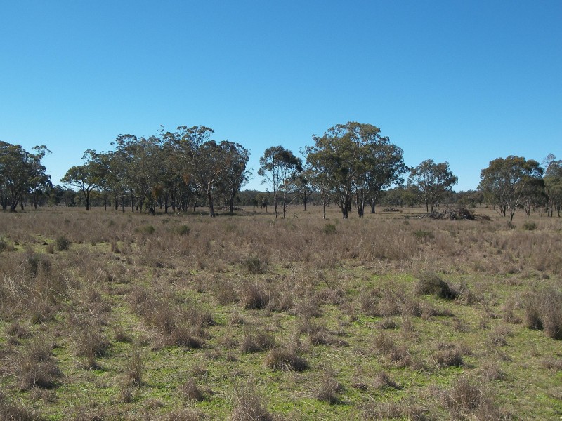 Greymare QLD 4370