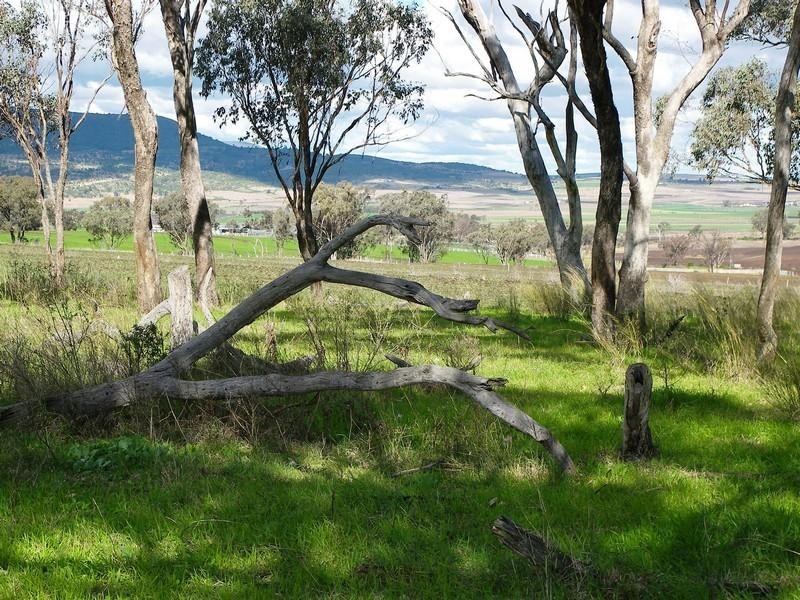 Lot 1 Goomburra Road, Goomburra QLD 4362