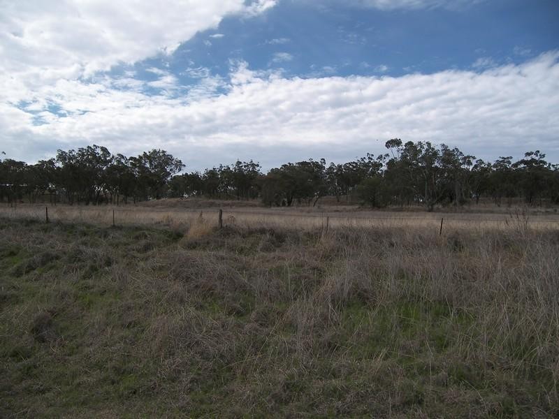 Warwick QLD 4370