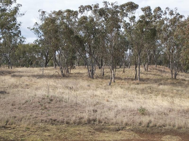 Warwick QLD 4370