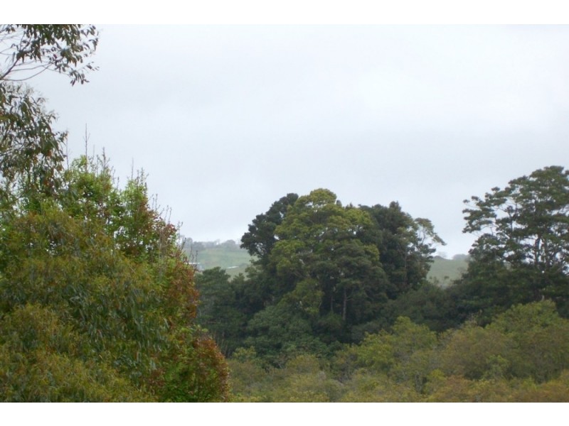 Maleny QLD 4552