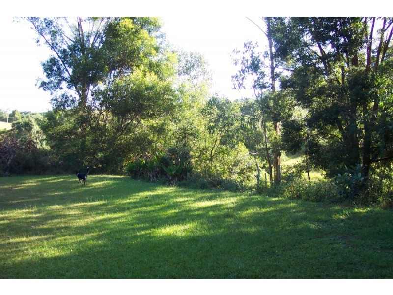 Maleny QLD 4552
