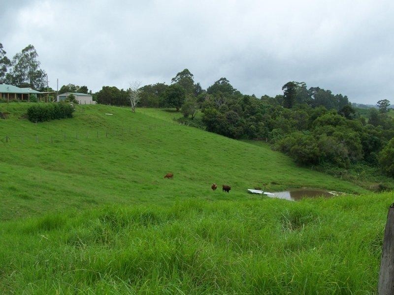 Maleny QLD 4552