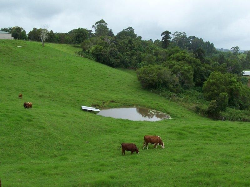 Maleny QLD 4552