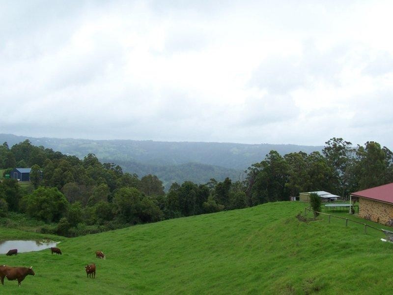 Maleny QLD 4552