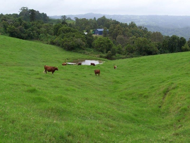 Maleny QLD 4552