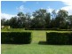 Glass House Mountains QLD 4518