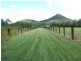 Glass House Mountains QLD 4518