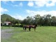 Glass House Mountains QLD 4518