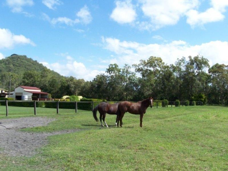 Glass House Mountains QLD 4518