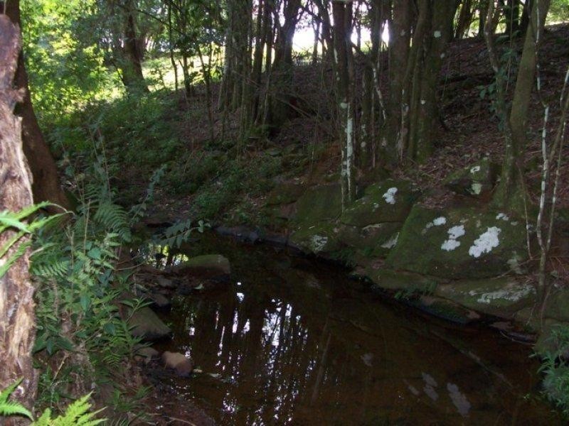 Maleny QLD 4552
