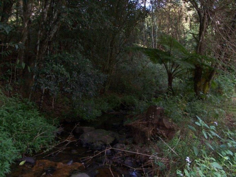 Maleny QLD 4552