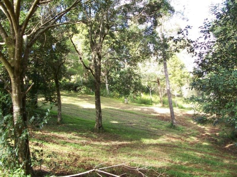 Maleny QLD 4552