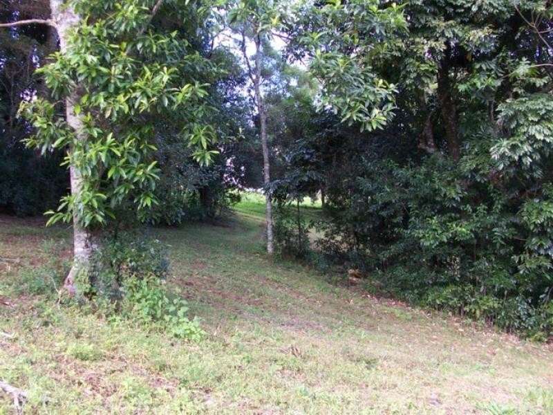 Maleny QLD 4552