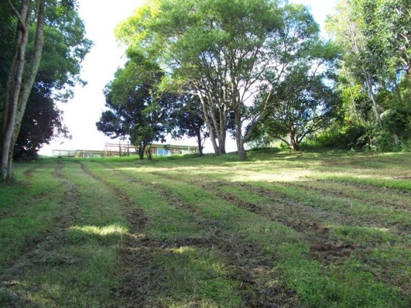 Maleny QLD 4552