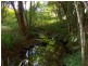 Maleny QLD 4552