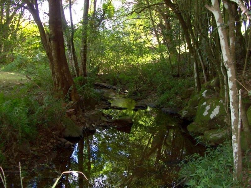Maleny QLD 4552