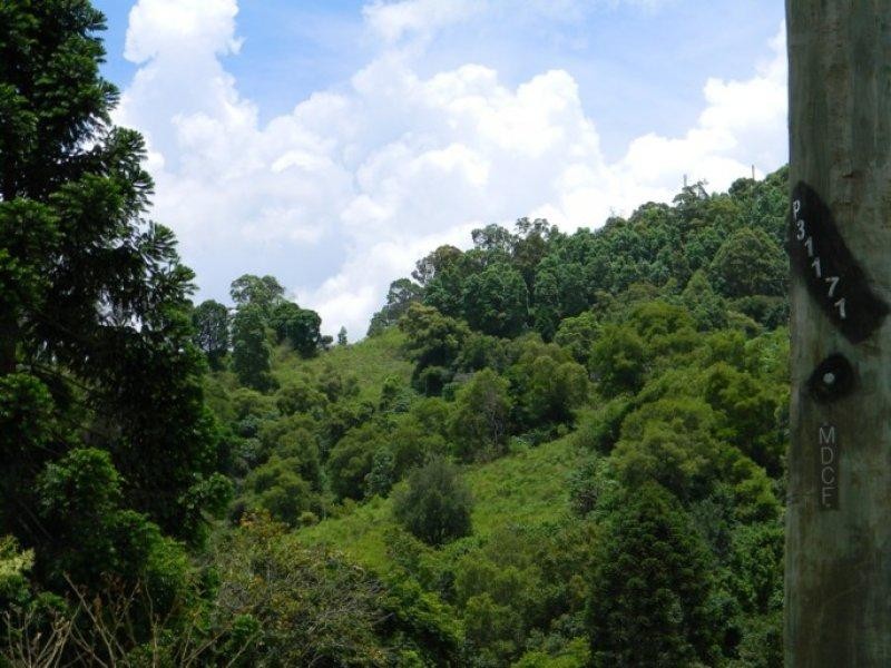 Maleny QLD 4552