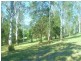Maleny QLD 4552