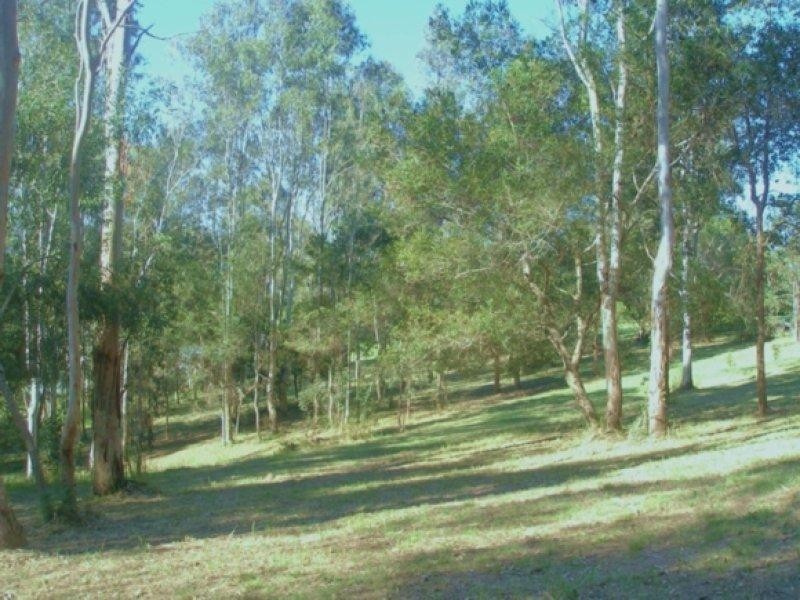 Maleny QLD 4552