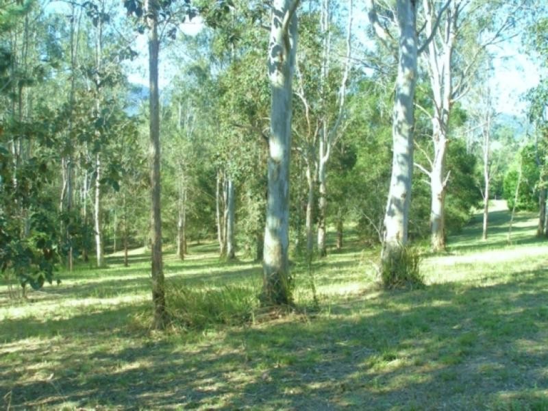 Maleny QLD 4552