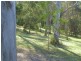 Maleny QLD 4552