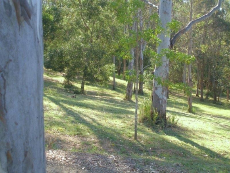 Maleny QLD 4552