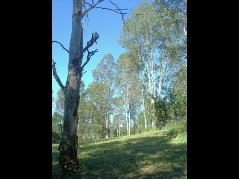 Maleny QLD 4552